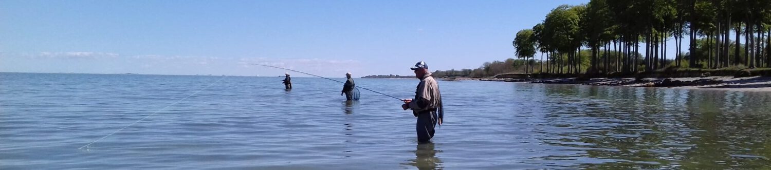 Vliegvis Vereniging Glashelder